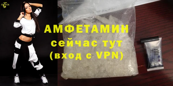 ECSTASY Алзамай
