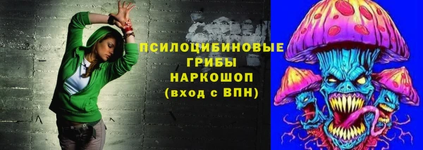 ECSTASY Алзамай