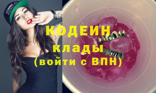 ECSTASY Алзамай