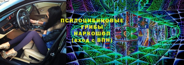 ECSTASY Алзамай