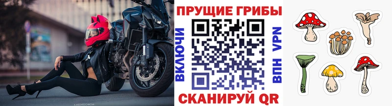 Псилоцибиновые грибы GOLDEN TEACHER  МЕГА зеркало  Ивдель 