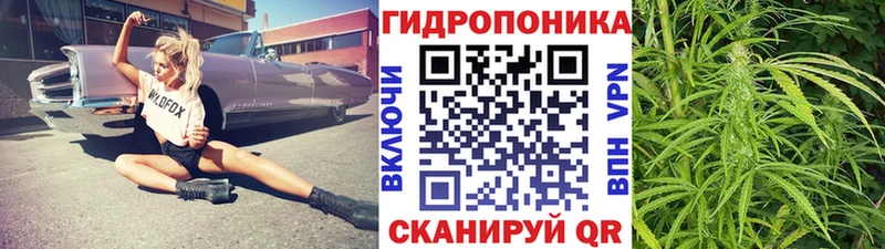 Канабис VHQ  OMG как войти  Ивдель 